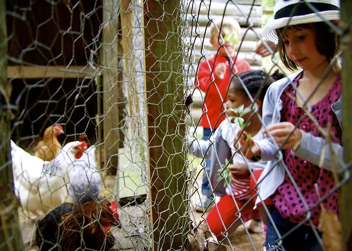 Πάρκο διακοπών Vvf Sud Aveyron 3*