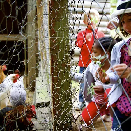 Village de vacances Vvf Sud Aveyron 3*